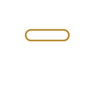 Chevrolet - motor