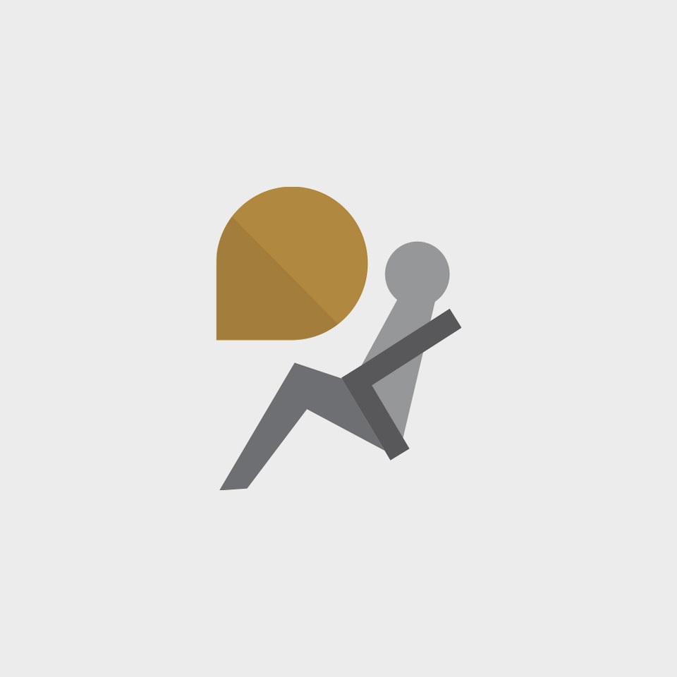 SEGURIDAD ICON