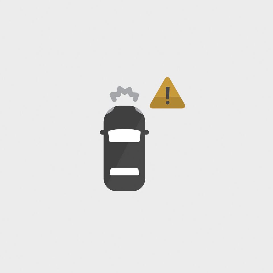SEGURIDAD ICON
