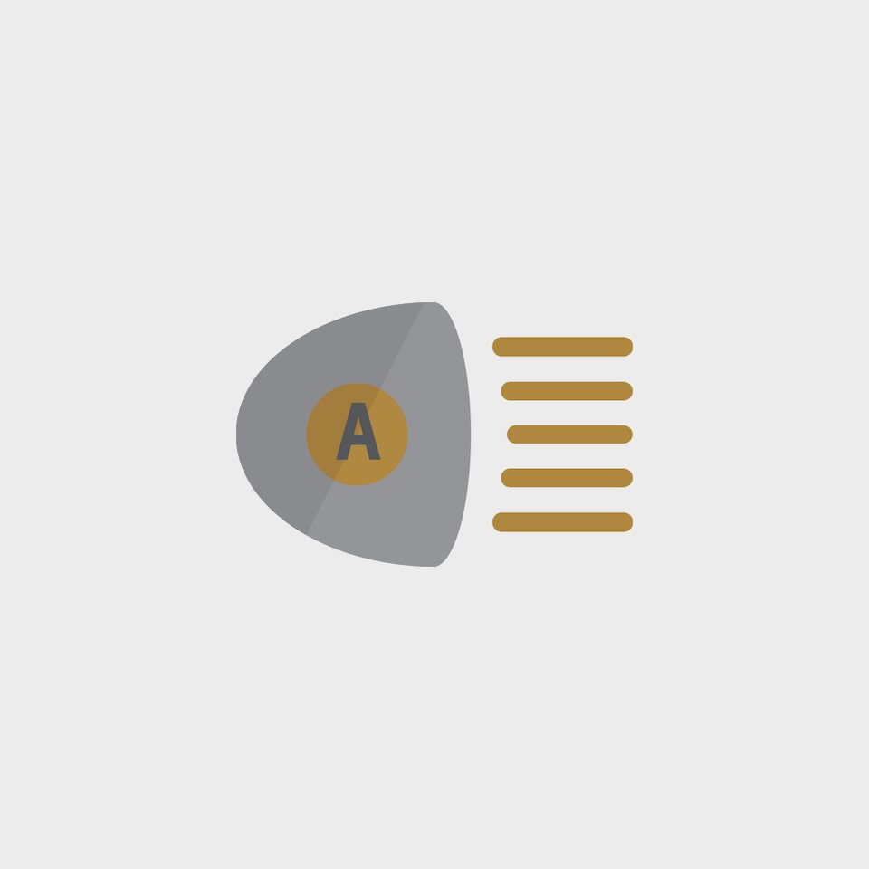 SEGURIDAD ICON