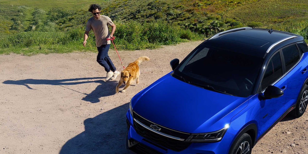 Chevrolet Groove estacionada con un hombre y un perro caminando cerca.